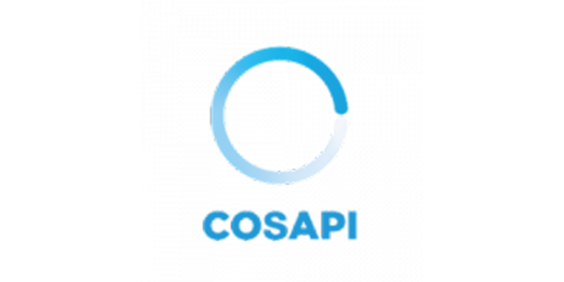 COSAPI